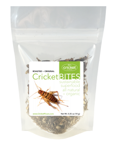 Roasted Cricket Edible Insect
