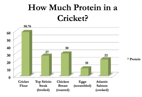 How Much Protein In a Cricket