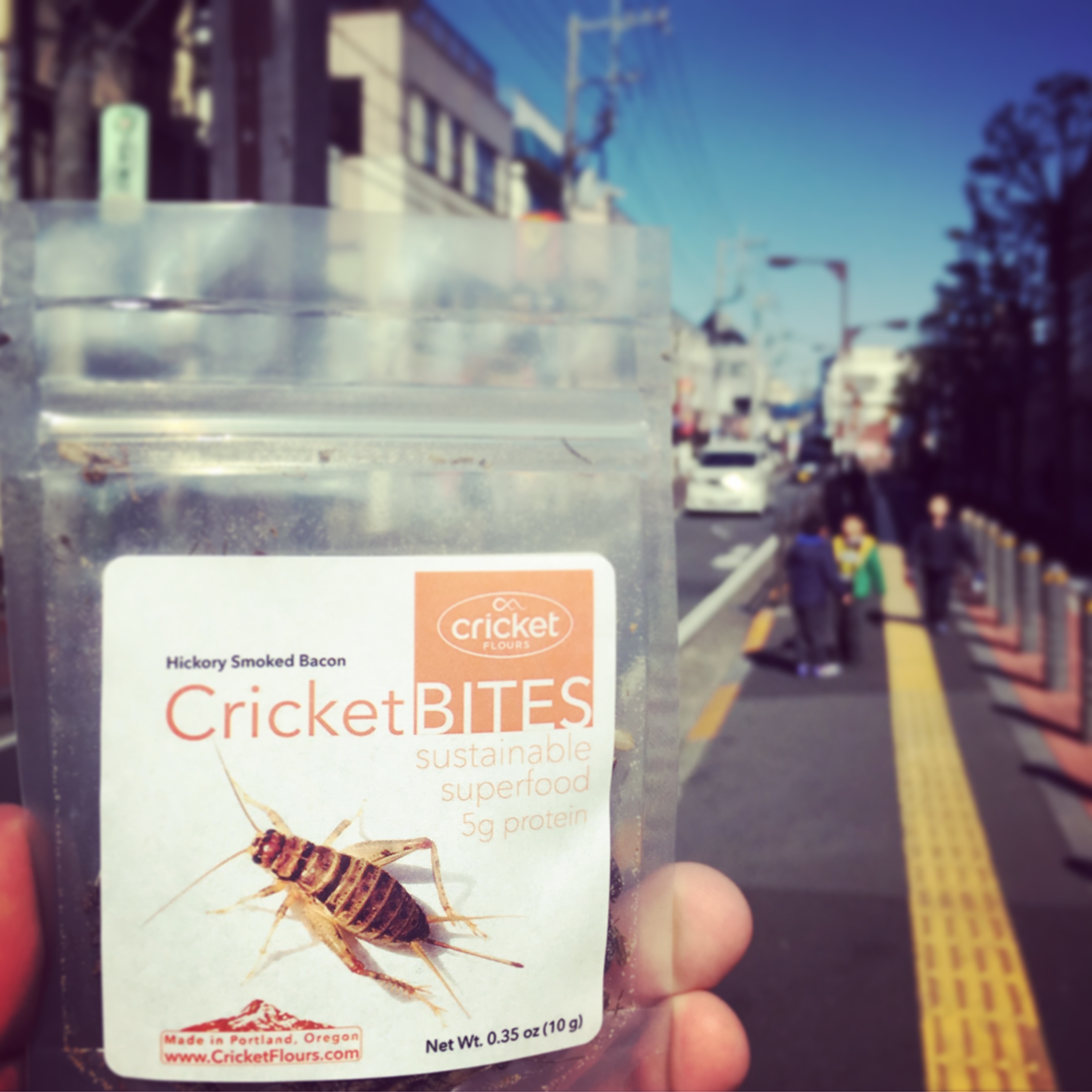 Japan Edible Insects
