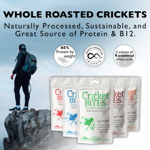 Chitin Edible Insect Protein