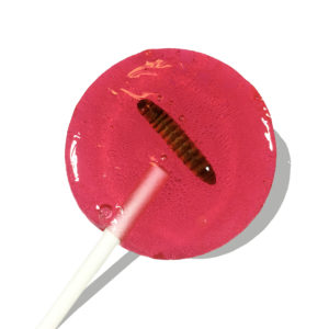 Edible Insect Lollipop and Sucker